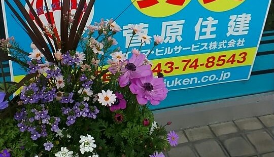 FLOWERS ４月