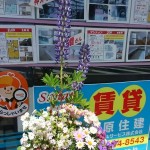 FLOWERS ４月