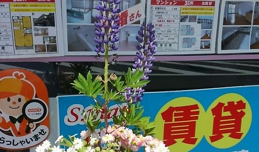 FLOWERS ４月